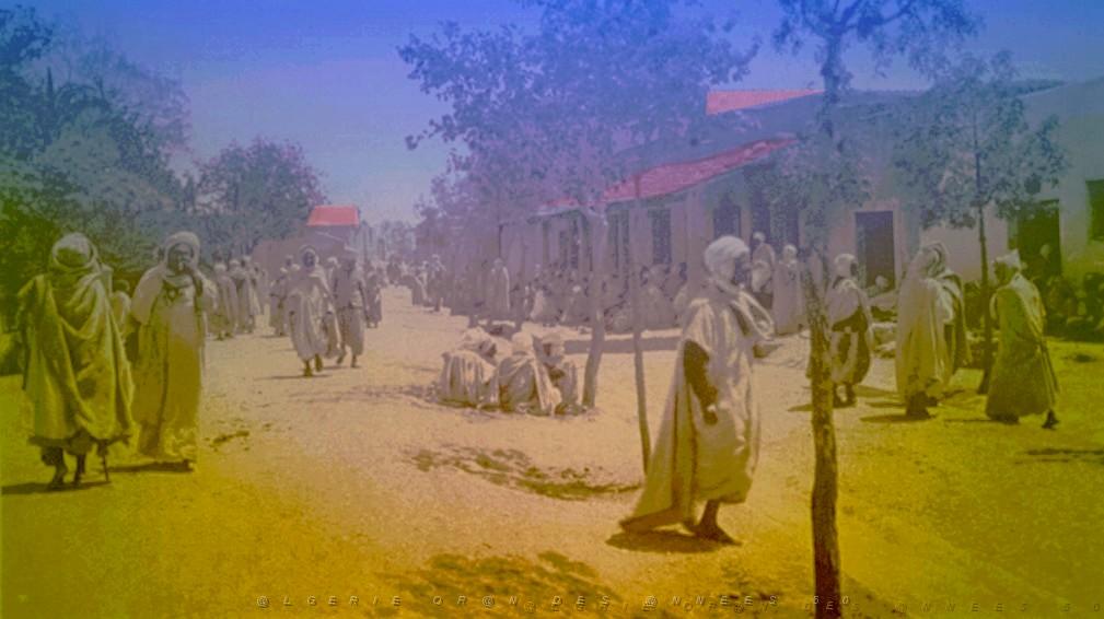 OASIS ET LE M ZAB 00005 M SILA LE MARCHE.jpg